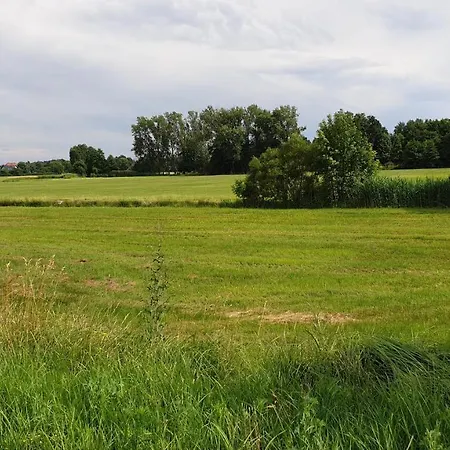 Big Bali בית נופש